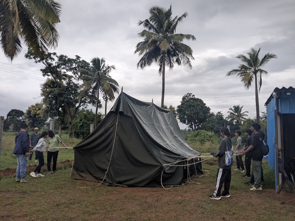 Tents at a campsite among palm trees